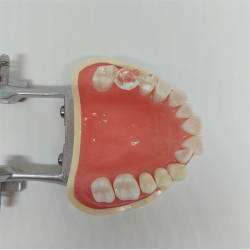 Instruktionsmodel til Tandbrstning 